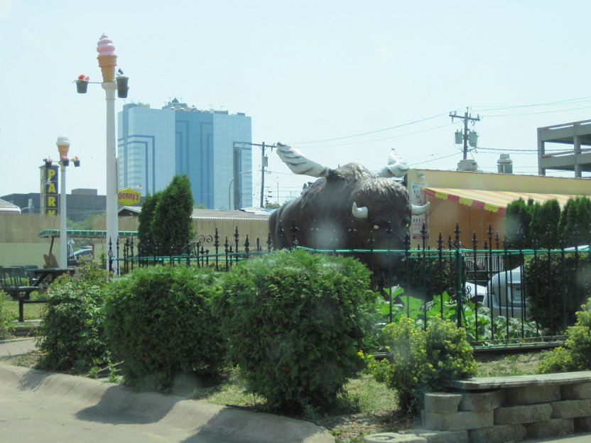 006-Buffalo Wings-near our motel.jpg